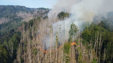 Požár v NP České Švýcarsko nemůže zůstat bez reakce