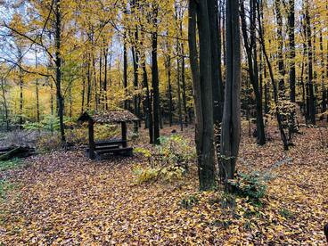 Stanovisko SVOL k záměru zřízení Národního parku Křivoklátsko