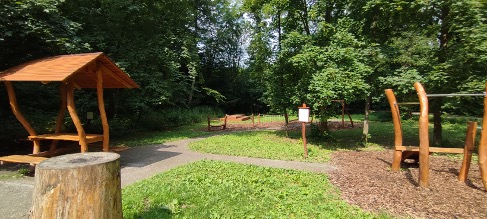 Picture 11