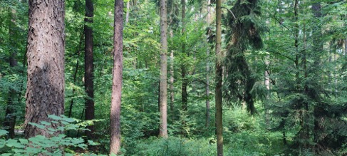 Picture 3