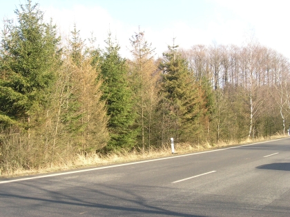 Novela vyhlášky č. 77/1996 Sb.,  o náležitostech žádosti o odnětí nebo omezení pozemků určených k plnění funkcí lesa, účinná od 1. 1. 2026, vyhlášena ve Sbírce zákonů