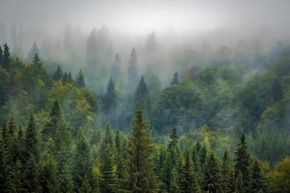 2023: Jeden z nejsložitějších roků pro lesy za poslední desítky let, předesílají nestátní vlastníci
