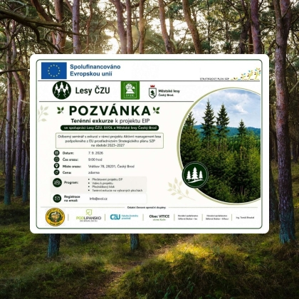 Přihlaste se na odborný seminář k projektu Aktivní management lesa
