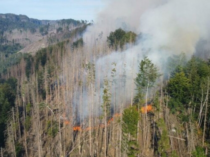 Požár v NP České Švýcarsko nemůže zůstat bez reakce - profesní organizace vyzývají k diskusi
