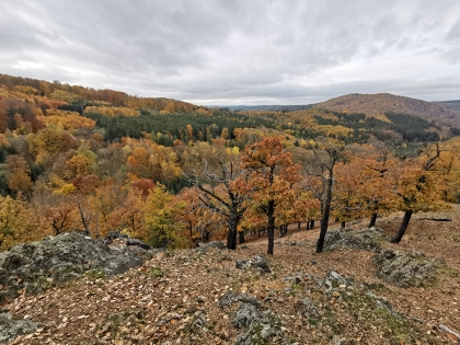 PETICE „Nesouhlas se zřízením národního parku Křivoklátsko“ k podpisu